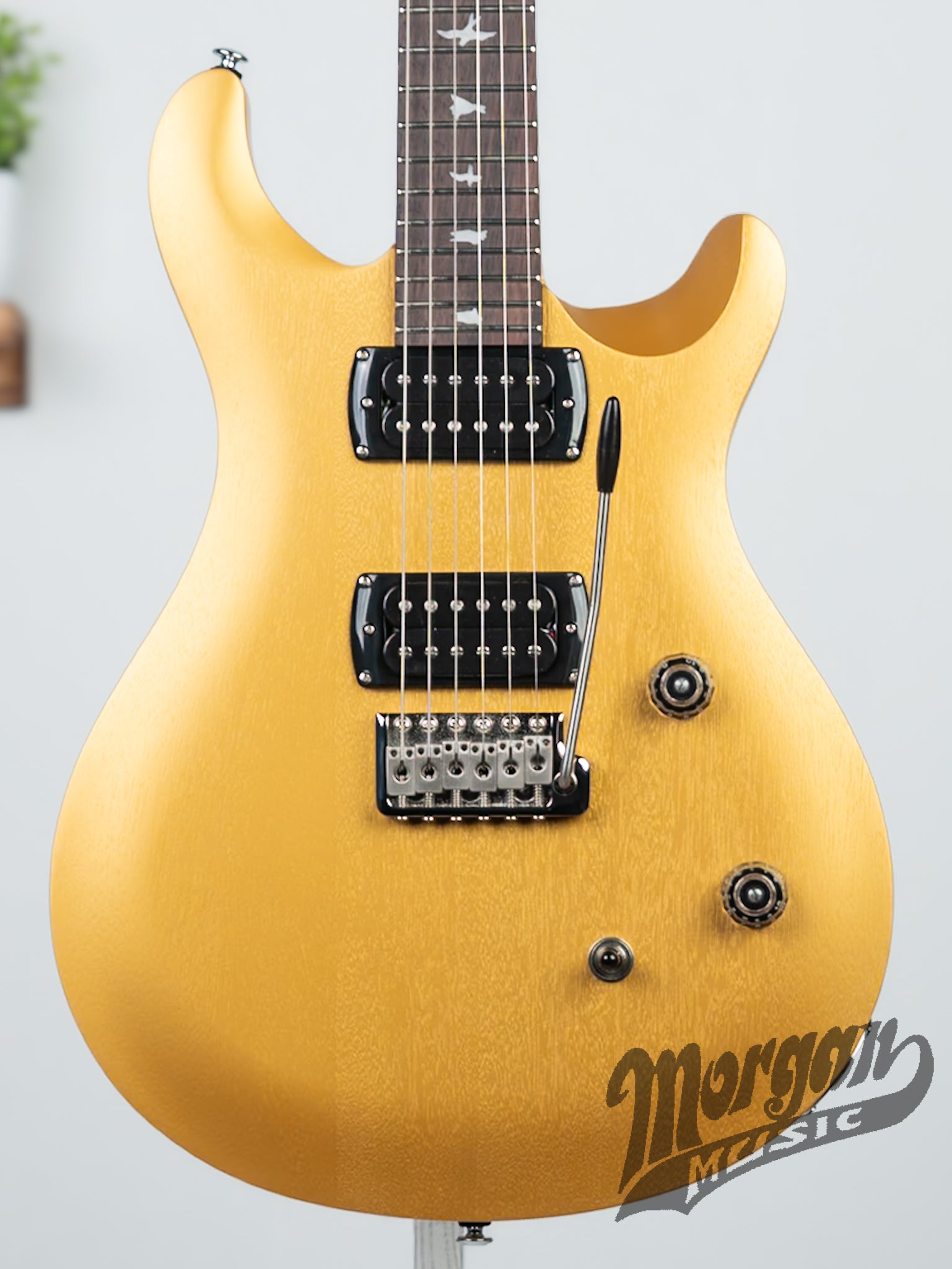 Fbe Morgan PRS SE CE24 Standard Satin- Metallic Gold – Morgan Music