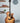 Taylor 314ce Studio- Tobacco Stain with Shaded Edgeburst