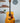 (Used) Taylor 510- 1995