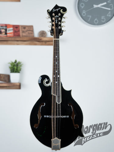 Bourgeois M5F- Black Top