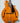 (Used) Northfield Big Mon- Amber