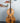 (Used) Engelhardt ES9 Swing Master 3/4 Upright Bass- Blonde