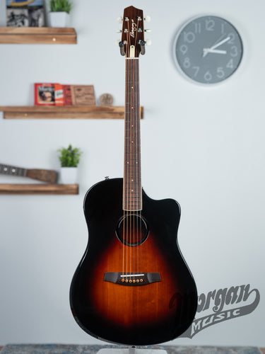 LR Baggs AEG-1 - Sunburst