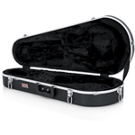 Mandolin Cases