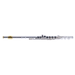 ARMSTRONG 800BEF PROFESSIONAL FLUTE, B FOOT