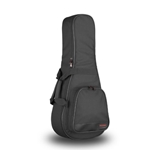ACCESS STAGE ONE MANDOLIN GIG BAG