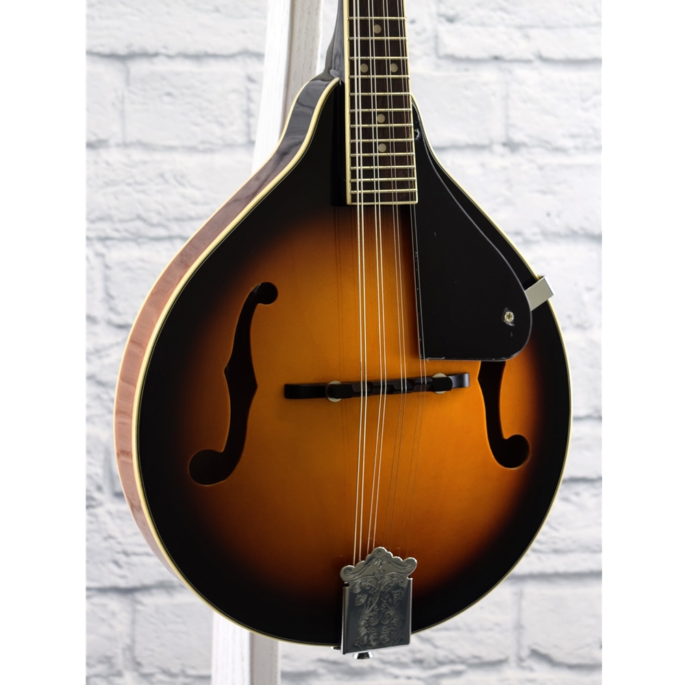 Savannah A Mandolin Sa100