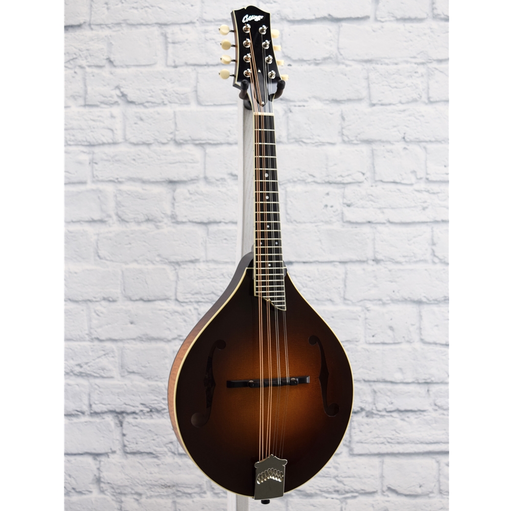 Collings mt mandolin for sale deals