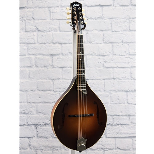COLLINGS MT DELUXE GLOSS TOP MANDOLIN COLLINGS CASE