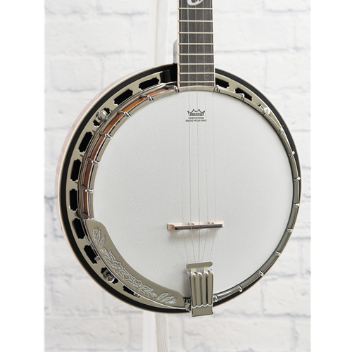 Ibanez b300 banjo hotsell
